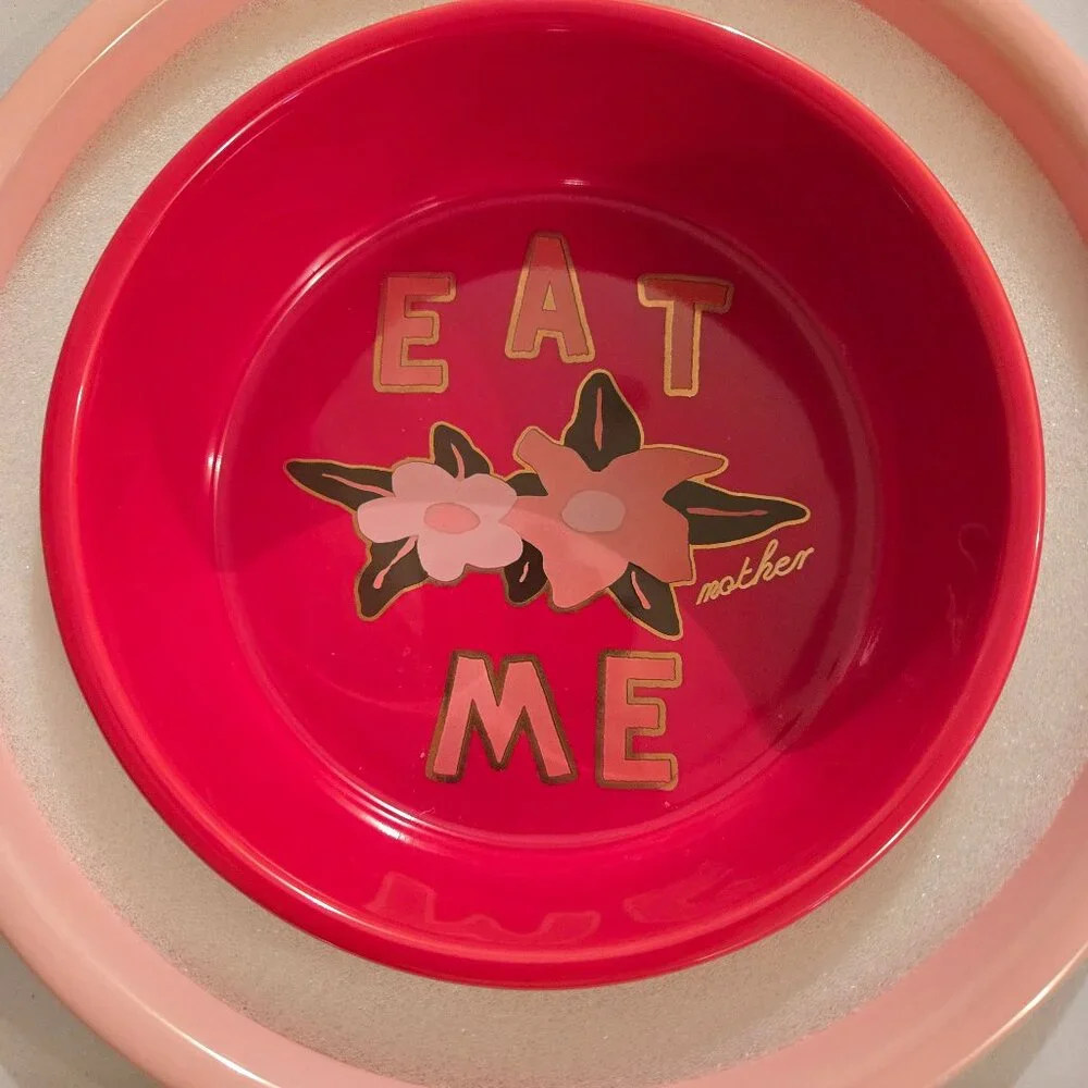 Brand new dog food and water bowl
